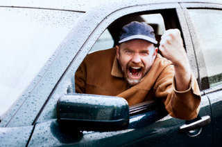 Illustration for article titled Are You/Have You Been Nuts About Your Vehicle?